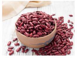100% Dark Red Kidney Beans New Crop Red Kidney Beans Price
