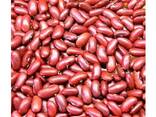 100% Dark Red Kidney Beans New Crop Red Kidney Beans Price - фото 1