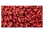 100% Dark Red Kidney Beans New Crop Red Kidney Beans Price - фото 2