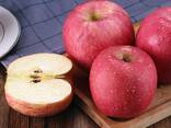 Apples, Fuji and Gala apples - фото 2