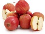 Apples, Fuji and Gala apples - фото 3