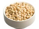 Best Quality Hot Sale Price Organic Dried Chickpeas - photo 2
