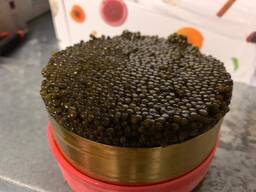 Caviar from sturgeon