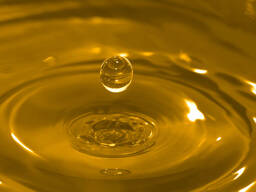 Cena surového slunečnicového oleje dohodou