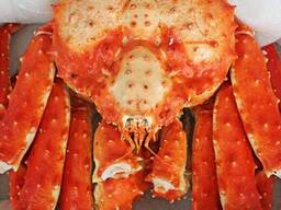 Červený královský krab
