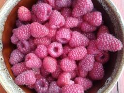 Cherries, sour cherries, apricots, peaches, peach nectarines, raspberries.