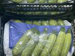 Цукини - фото 1