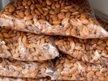 Dried Almond Nuts - фото 3