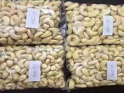 Dried Cashew Nuts