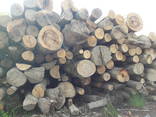 Дрова / Firewood / Brennholz - фото 7