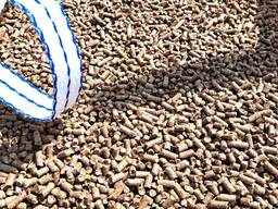 Dubové pelety. A1 EN plus