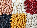 Fazole, lněná semena, čočka, cizrna, hrášek a jiné zemědělské produkty. - фото 1