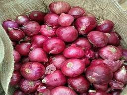 Fresh onion