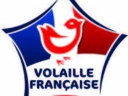 Frozen yellow roosters