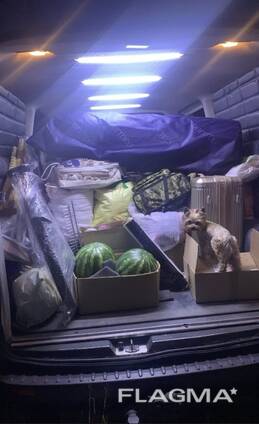 Грузоперевозки