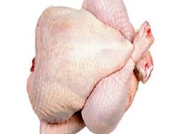Halal Frozen Chicken Feet/Chicken Paws/ Chicken Leg Quarter