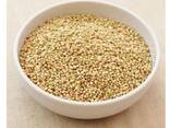 High Quality Natural Organic Buckwheat/Roasted Buckwheat Kernel for sale - фото 3