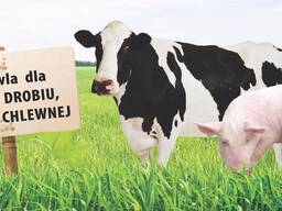 Krmivo pro zvířata