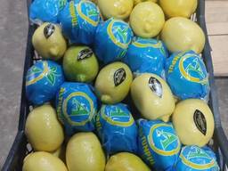 Лимон Enterdonat