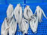 Мороженная рыба и морепродукты в Чехию от завода из КНР - фото 1