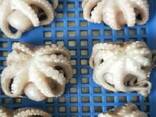 Мороженная рыба и морепродукты в Чехию от завода из КНР - photo 6