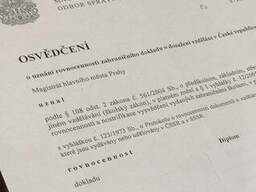 Обучение косметологии, подтверждение имеющихся дипломов