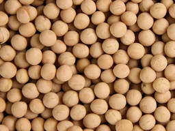 Peas