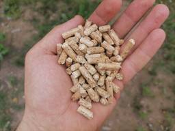 Pellet ENPlus A1
