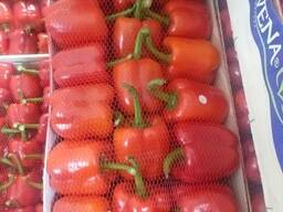 Перец KALIFORNIYA RED