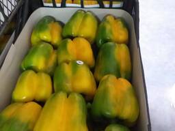 Перец KALIFORNIYA YELLOW