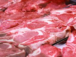 Prémiové halal velbloudí maso