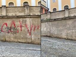 Slibný podnik s vysokým potenciálem růstu je na prodej