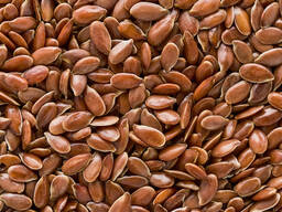 Prodáváme hnědý len.