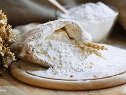 Pšeničná mouka TYP 450,480,550,600,650,700