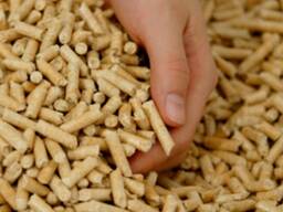 Quality Wood Pellets 6mm DIN Plus ENplus A1A2 BSL Approved Wood Pellets