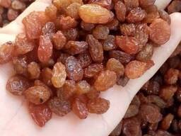 Rozinky Sultana Abdjush (hnědá, cukrovinky)