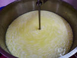 Sýrové mléčné výrobky 200 litrů - фото 5