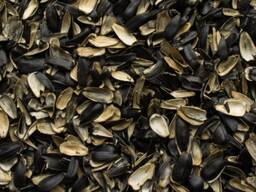 Slunečnicové slupky