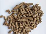 Топливная пеллета (гранула) - фото 3