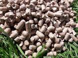 Fuel pellets briquettes - photo 4