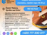 Вакансія на збирання велосипедів - фото 1