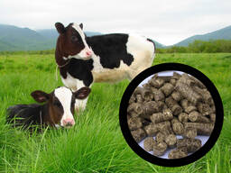 Vegetable straw pellets for animals alternative to straw bedding