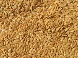 We offer our harvest of 2018: golden flax and confectionery