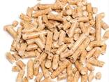 High quality biomass wood pellets for heating system - фото 1