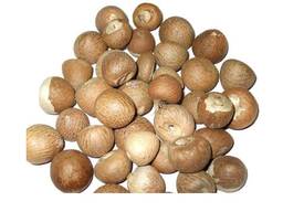 Wholesale price high quality raw betel dried indonesia betel nuts areca nut